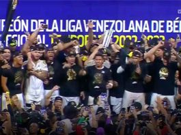 leones campeones beisbol venezolano
