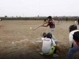 Softball venezolano Perú