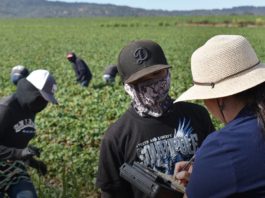 derechos laborales indocumentados estados unidos