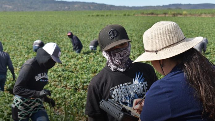 derechos laborales indocumentados estados unidos