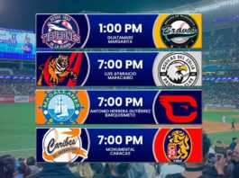 Juegos para hoy 12 de noviembre de 2024 en el beisbol venezolano de la LVBP