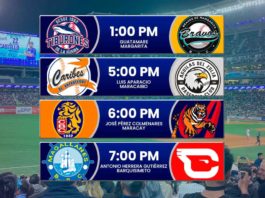 Juegos para hoy en la LVBP para el domingo 3 de noviembre de 2024 Leones Tiburones Magallanes en la tabla de posiciones del beisbol venezolano