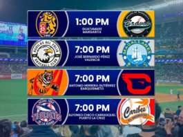 Juegos para hoy martes 5 de noviembre de 2024 en la LVBP una nueva jornada de partidos del beisbol venezolano