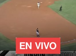 LVBP EN VIVO hoy 13 de noviembre de 2024 con los juegos del beisbol venezolano