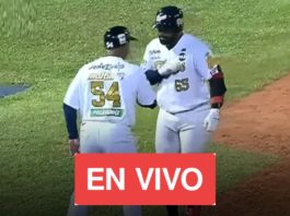 LVBP EN VIVO juegos de hoy 9 de noviembre de 2024 en el beisbol venezolano tigres bravos por tiburones