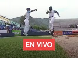 LVBP EN VIVO juegos para hoy en el beisbol venezolano partidos de bravos leones magallanes tiburones