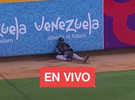 LVBP EN VIVO juegos para hoy miércoles 6 de noviembre de 2024 con los partidos del beisbol venezolano de Leones bravos magallanes y tiburones