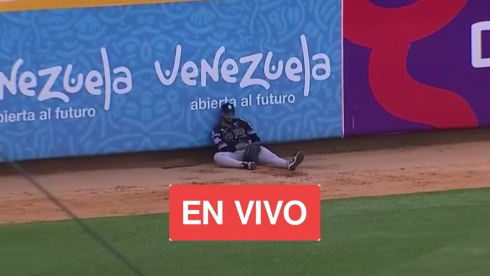 LVBP EN VIVO juegos para hoy miércoles 6 de noviembre de 2024 con los partidos del beisbol venezolano de Leones bravos magallanes y tiburones