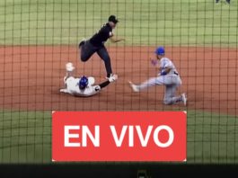 LVBP EN VIVO: juegos para hoy 2 de noviembre de 2024 en el beisbol venezolano tiburones leones magallanes y su tabla de posiciones