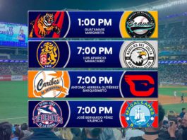 juegos para hoy en la LVBP 1 de noviembre de 2024 partidos de leones tiburones y magallanes en el beisbol venezolano