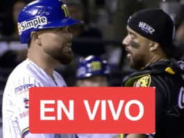 LVBP EN VIVO juegos para hoy 22 10 2024 resultados y marcadores del beisbol venezolano